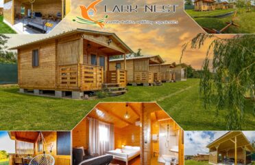 Lark Nest